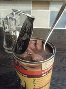 Eat-your-own-dog-food-1