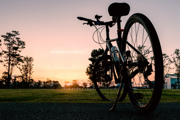 Everything I’ve learned from cycling into a tree