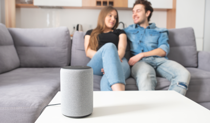 MPs demand ‘action plan’ to protect radio for smart-speaker age