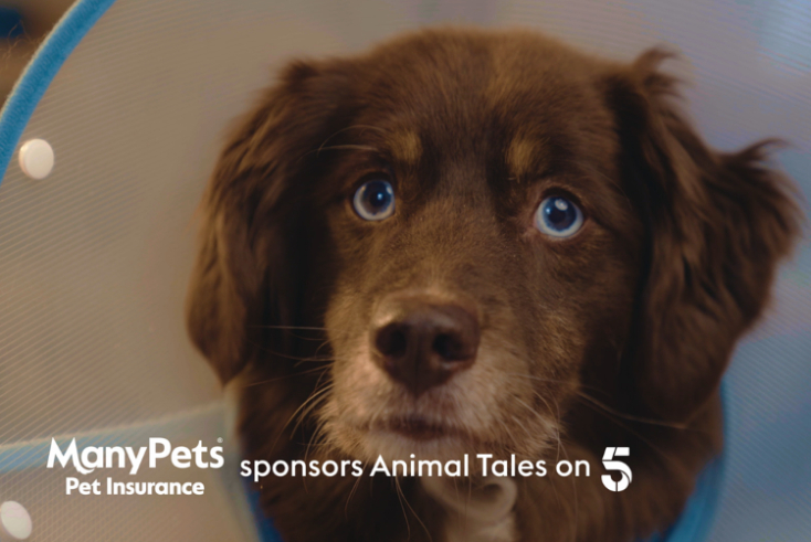 ManyPets to sponsor Channel 5 animal content for over a year