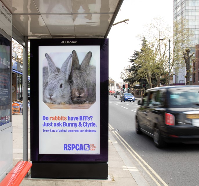 RSPCA King Street OOH