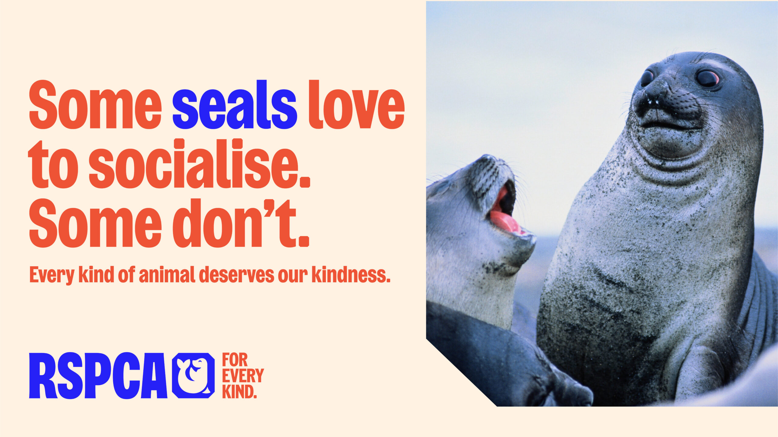 RSPCA SocialSeals 3840x2160