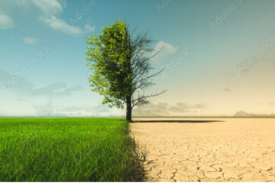 UN special rapporteur recommends criminalising ad industry for role in climate disinformation