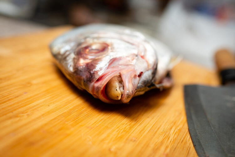 Why parasitic platforms keep feeding on media (and what’s next)