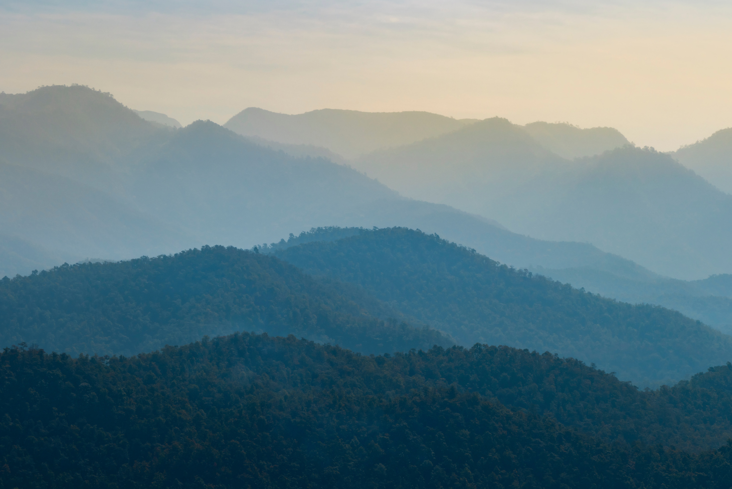 Nature recovery initiative shows how performance and sustainability can work together