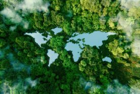 Act Climate Labs launches blueprint to phase out fossil fuel advertising