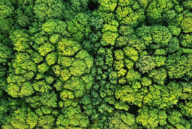 Havas Media Network UK clients enrolled in sustainability model. A step forward or a dead end?