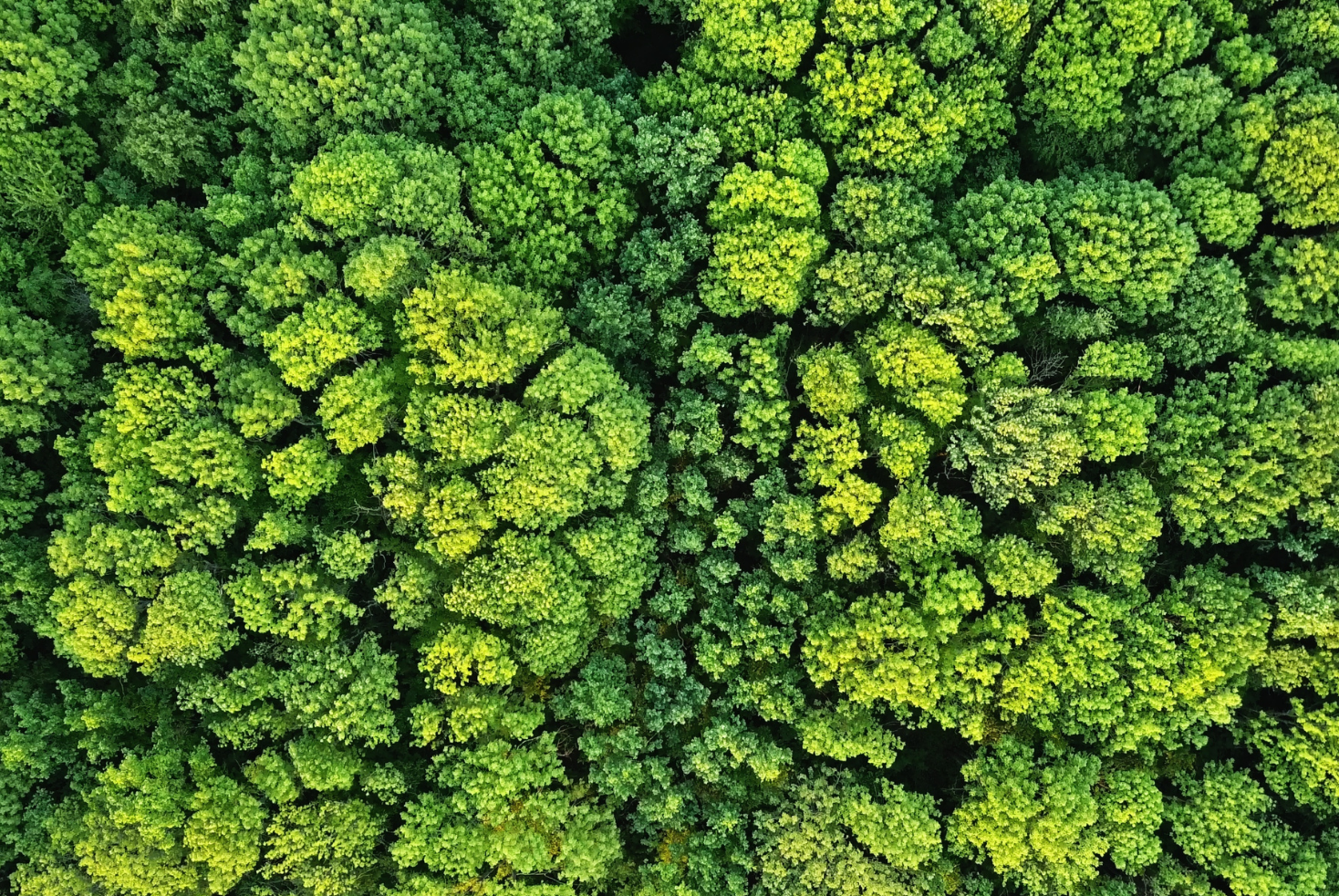 Havas Media Network UK clients enrolled in sustainability model. A step forward or a dead end?