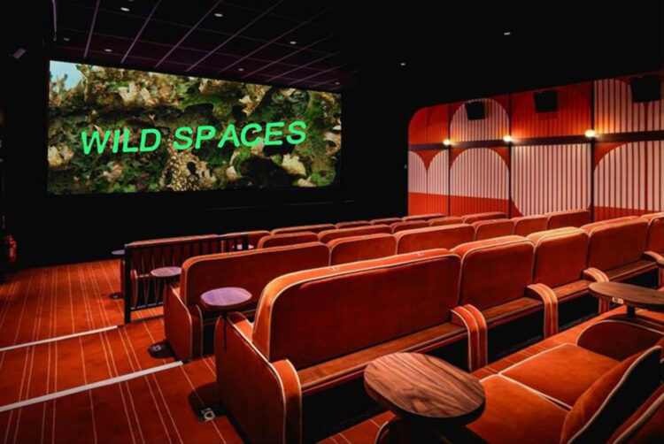 One year of Wild Spaces: how cinema advertising is putting climate action in the spotlight
