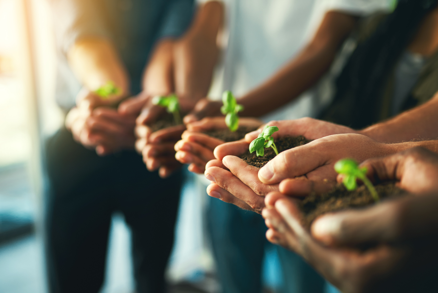 Ad Net Zero’s Young Leaders publish guide to implementing sustainability into everyday business