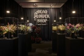 Go woke, go broke? Brands on the front line of the culture war