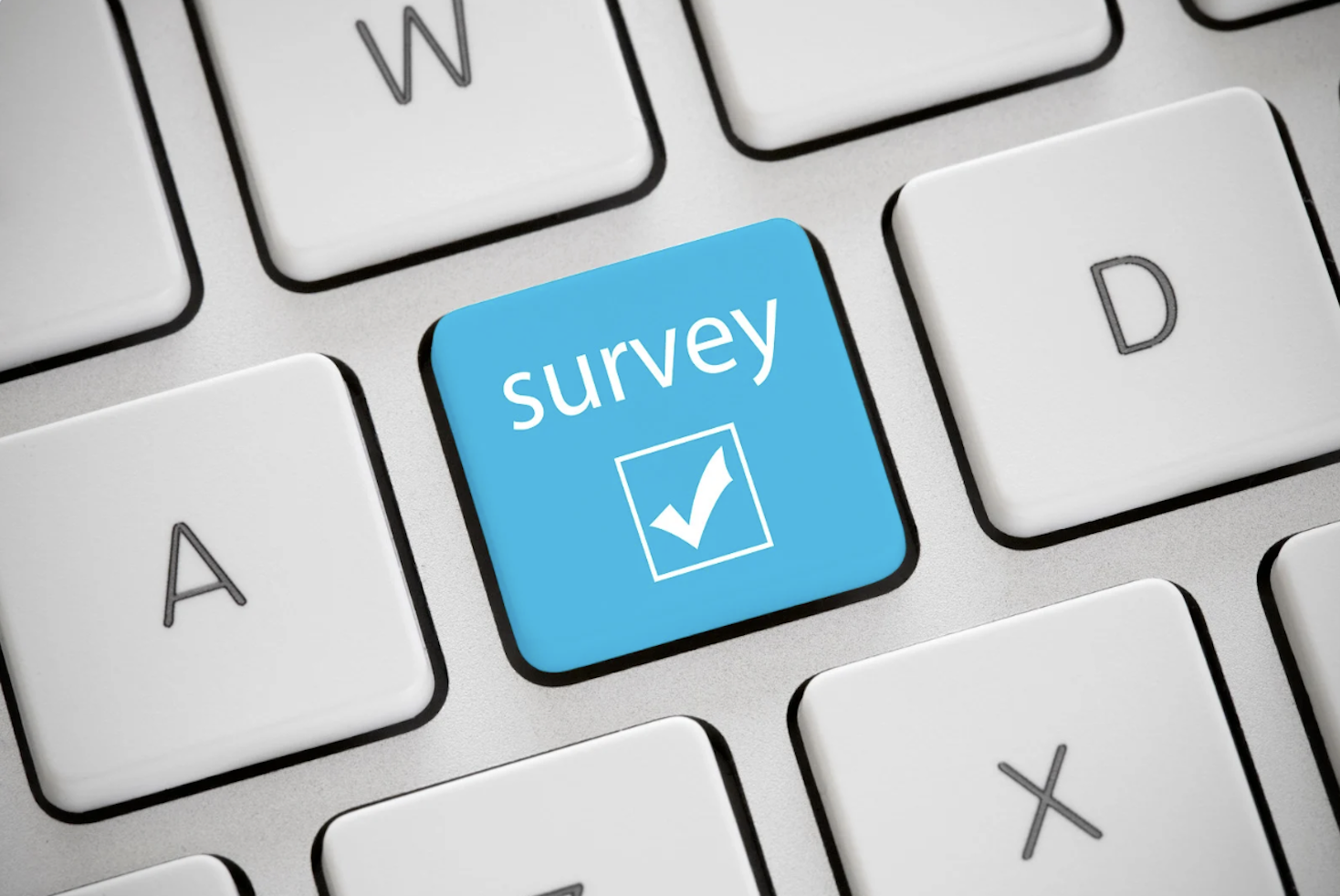 Why surveys matter in a world of big data