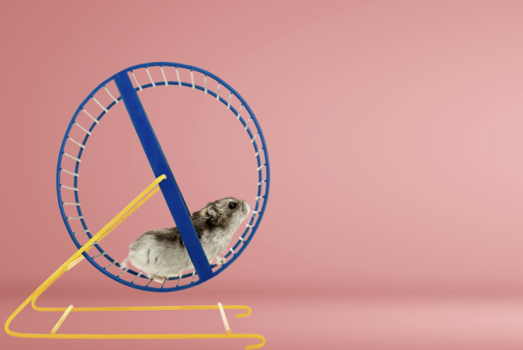 Get off the hamster wheel and build a system of effectiveness