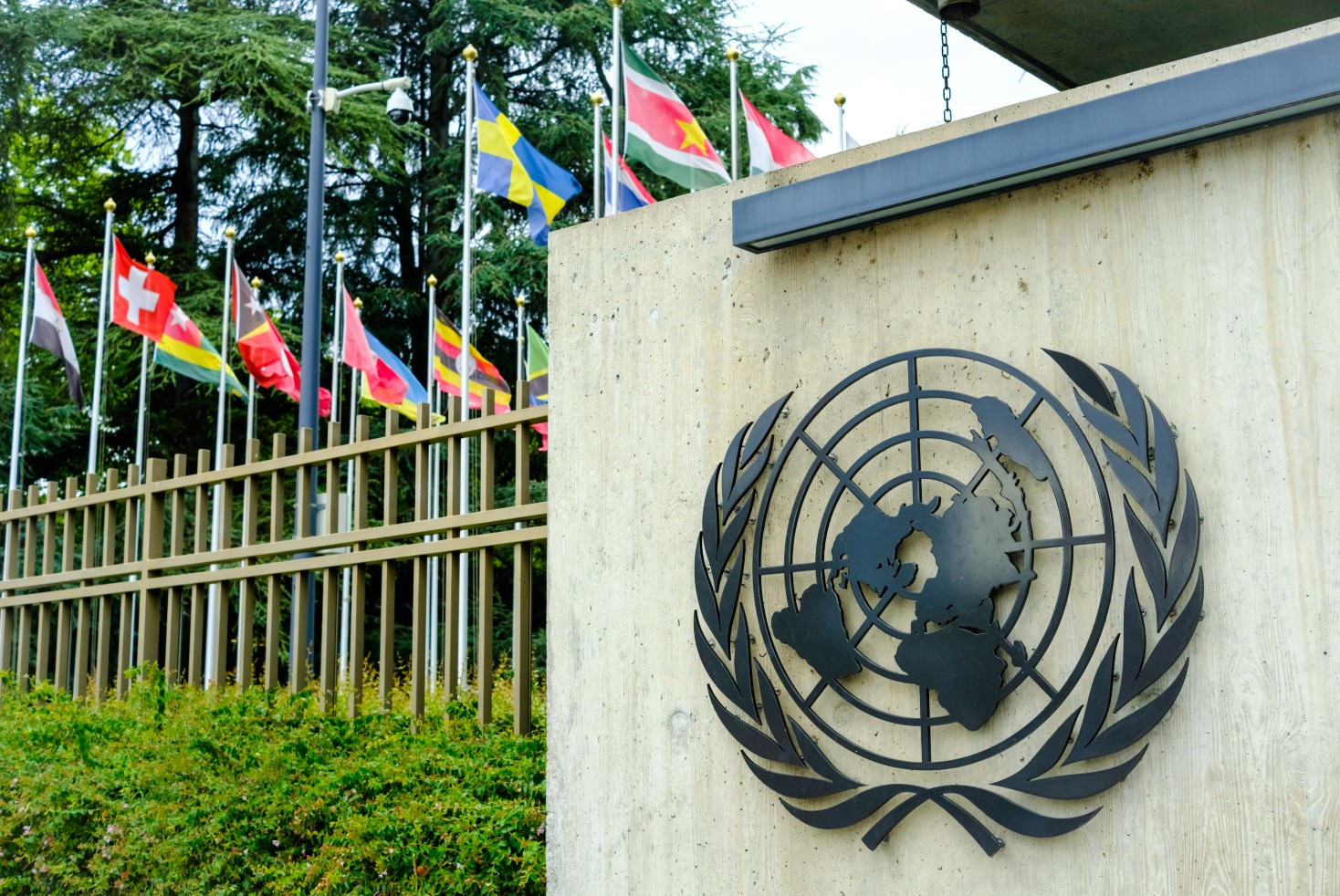 UN and CAN warn of AI-driven global information integrity crisis