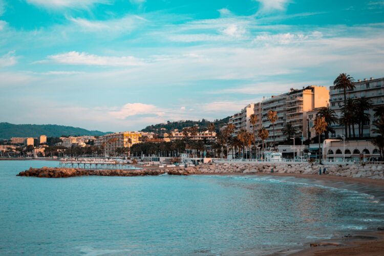 The Media Leader’s guide to Cannes: How to survive and thrive