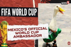 Being the sixth most famous duck in the world doesn’t make you culture