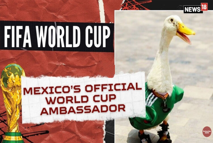 Being the sixth most famous duck in the world doesn’t make you culture
