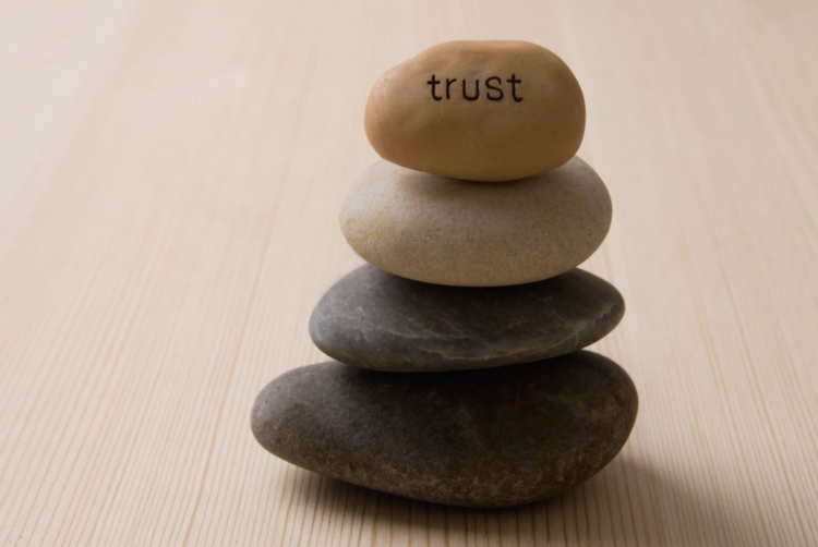 What Generation Alpha reveals about trust in a post-social media world